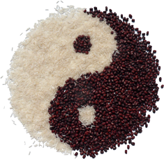 YinYang Symbol aus Reis und Bohnen