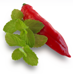Chili und Pfefferminze